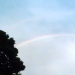第3子を授かりました。胎嚢が2つ見えたけど…。