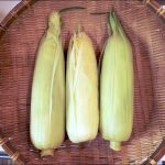時間がたってもぷりぷりなトウモロコシのゆで方【素材を生かしたおやつ】【追記あり】