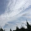 職場復帰後はじめてのプレゼン。全力でぶつかったから、負けて悔いなしです!