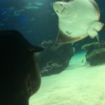 【保育園いきたくない①】気にかけること、受けとめること。