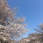 2歳の息子、ついに卒乳しました。嘘みたいな本当の話『虫つきおっぱい』