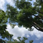【宇津木流スキンケア】続けて丸2年の成果!ほっぺに自然なツヤが戻ってきました