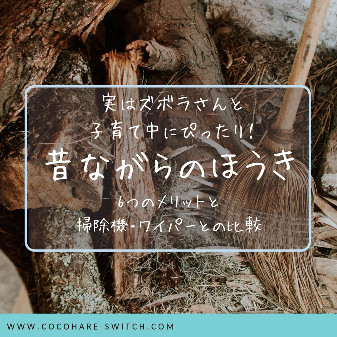 昔ながらのほうき6つのメリット 掃除機やワイパーと比較 実はズボラな人 子育て中にぴったり ココハレスイッチ